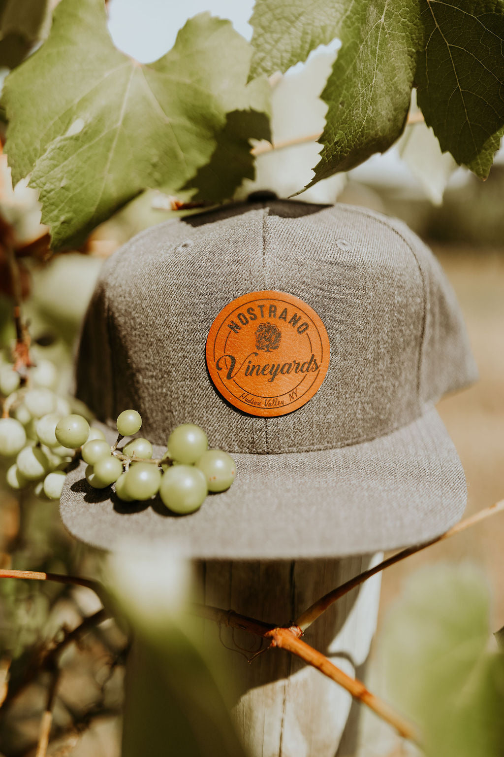 Nostrano Vineyards Snap Back